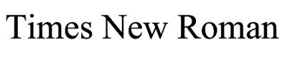 Times New Roman Font